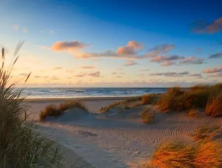 Pearl Of - R.q.c. * L'Aia