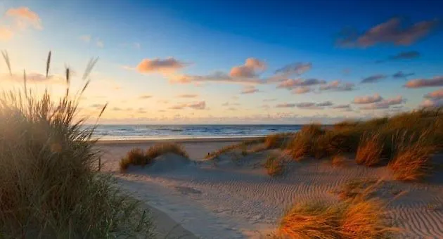 Pearl Of - R.q.c. * La Haya